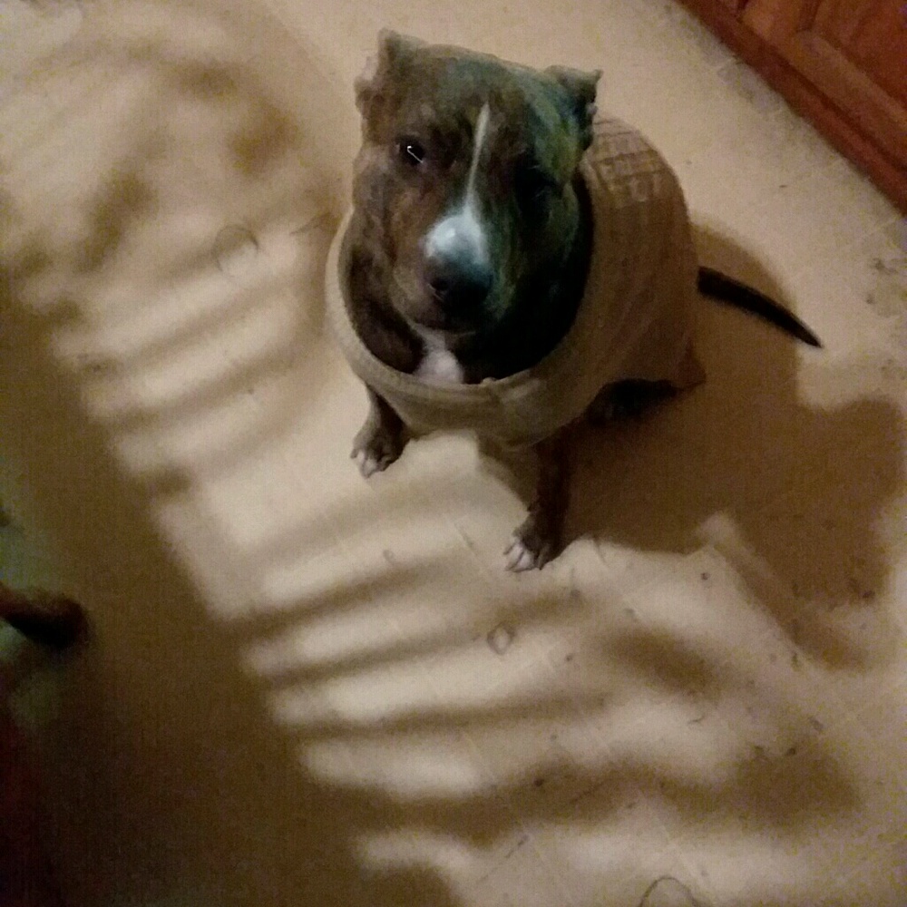 Meet your Posher, Judy